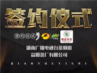 湘益茯，美茗揚(yáng) 丨湘益茯茶與茶頻道達(dá)成長期戰(zhàn)略合作