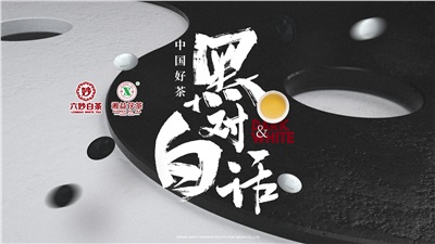 首屆黑白對(duì)話高峰論壇圓滿落幕！湘益茯茶備受關(guān)注！